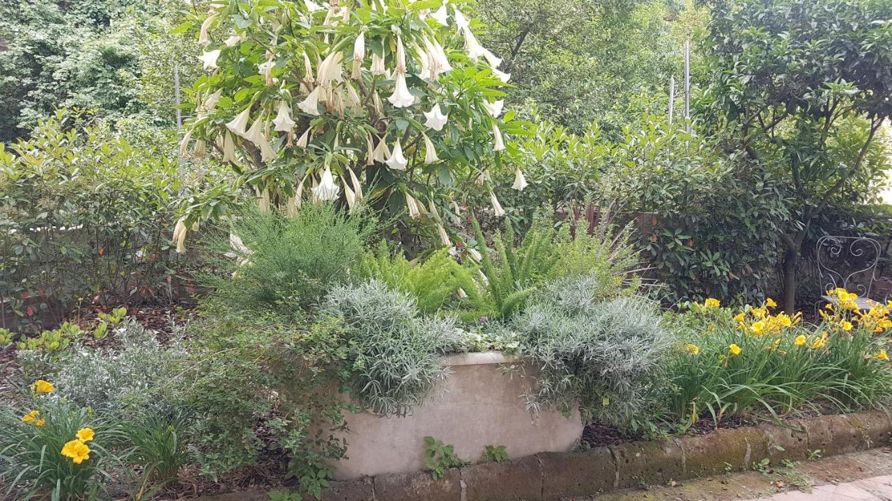 Villa Dimora Storica "Le Stanze Di Dioniso" Napoli Esterno foto